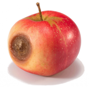 appleBad